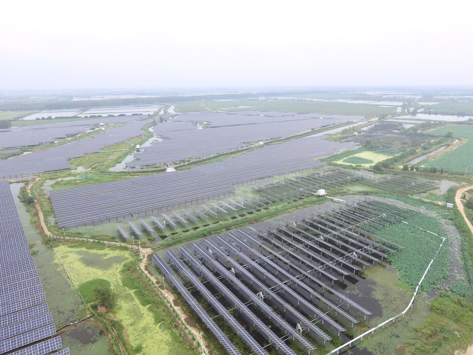 js3333线路科技江苏扬州宝应光伏发电应用领跑基地2号100兆瓦项目